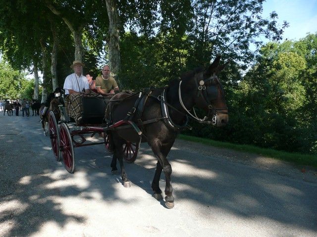 dimanche (36).jpg